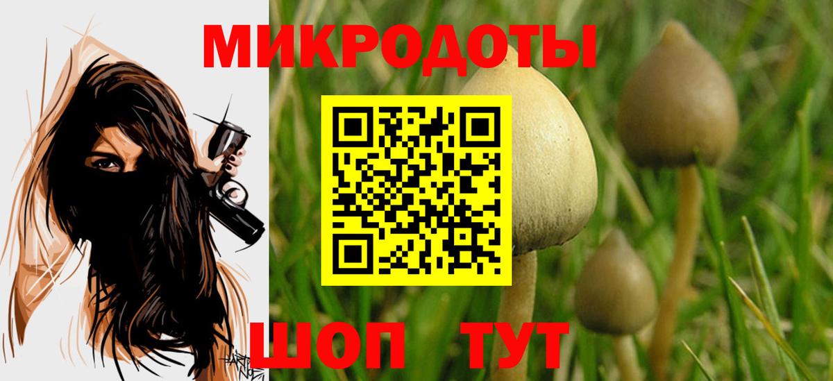 Псилоцибиновые грибы Magic Shrooms  Галлюциногенные грибы ЛСД  Вход с VPN  Кольчугино 